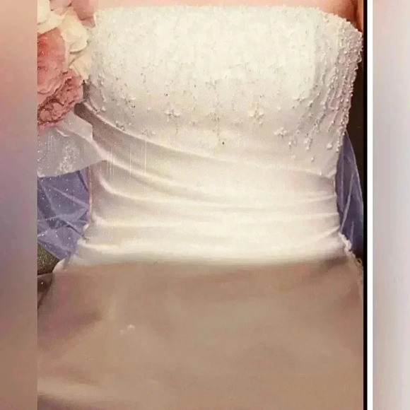 Maggie Sottero - NWOT - Dion Wedding dress.  Sz 6-10 - Picture 3 of 10